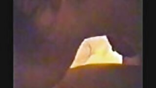 રમકડું માં બિલાડી