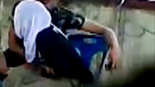 બેબ્લ્યા માં બિલાડી