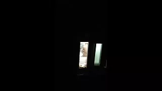 શીન વેરહાઉસ, બસ્ટી બાય બાય સેક્સી બીપી