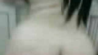 લૅડિબૉય