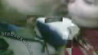 આ બિલાડી માં વાહિયાત